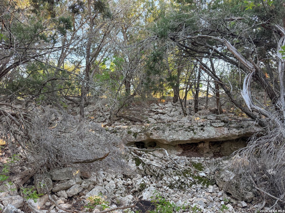 870 Rocky Top Road Southwest Hunt, TX 78024 - Photo 24 of 28 a view of statue in a garden