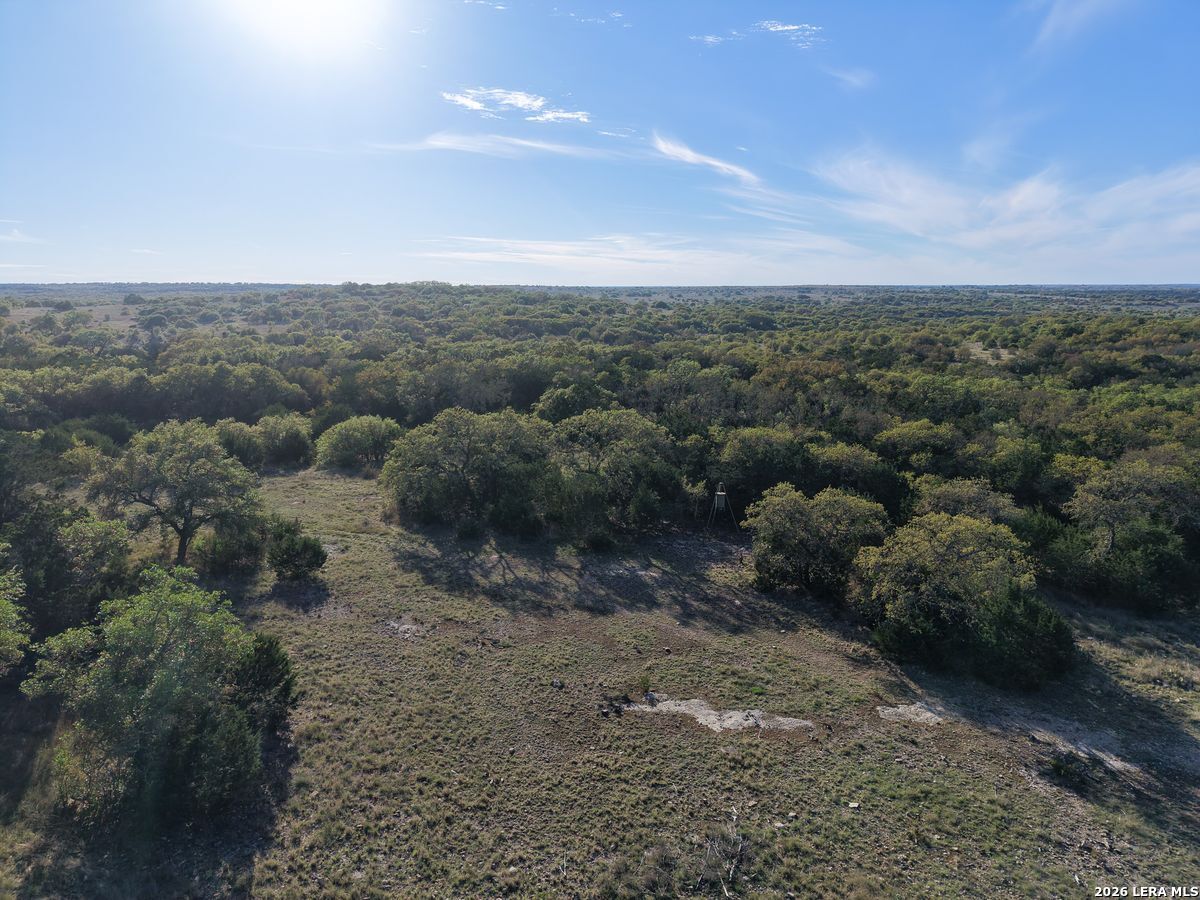 870 Rocky Top Road Southwest Hunt, TX 78024 - Photo 26 of 28 a view of a dry yard with lots of trees