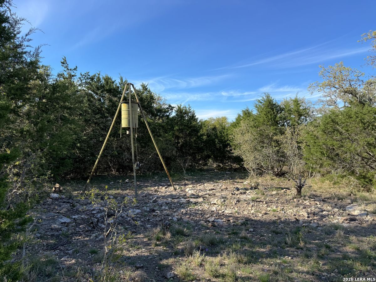 870 Rocky Top Road Southwest Hunt, TX 78024 - Photo 27 of 28 a view of outdoor space with green field and trees