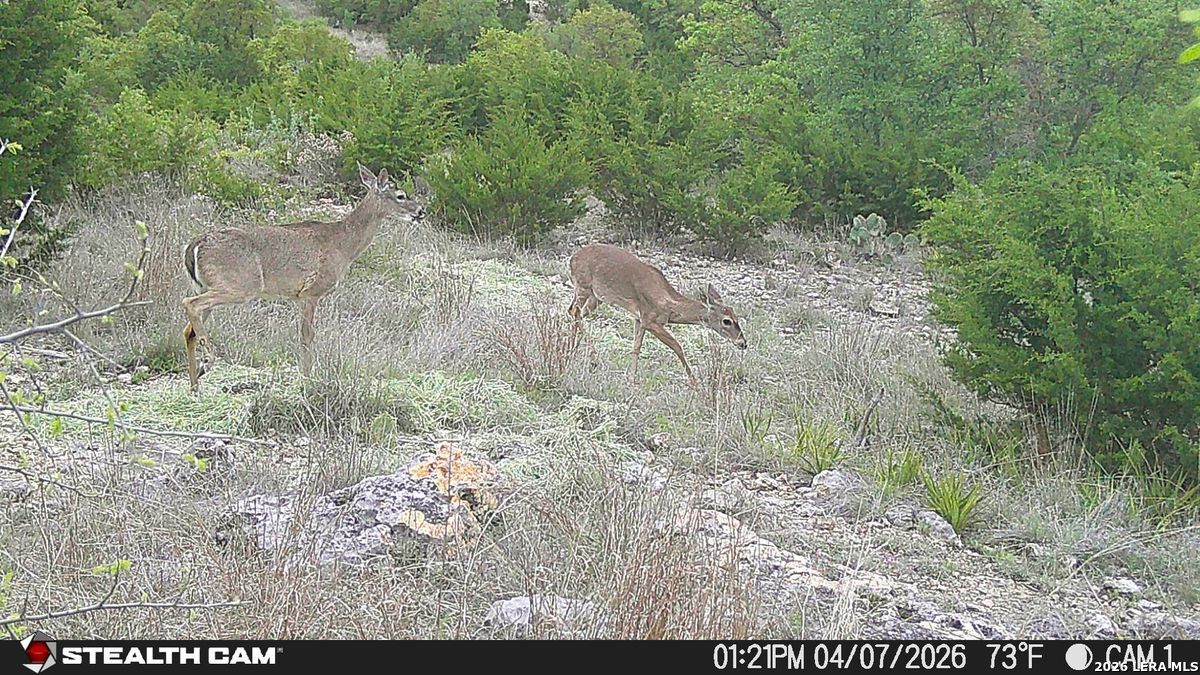 870 Rocky Top Road Southwest Hunt, TX 78024 - Photo 4 of 28 a view of a yard