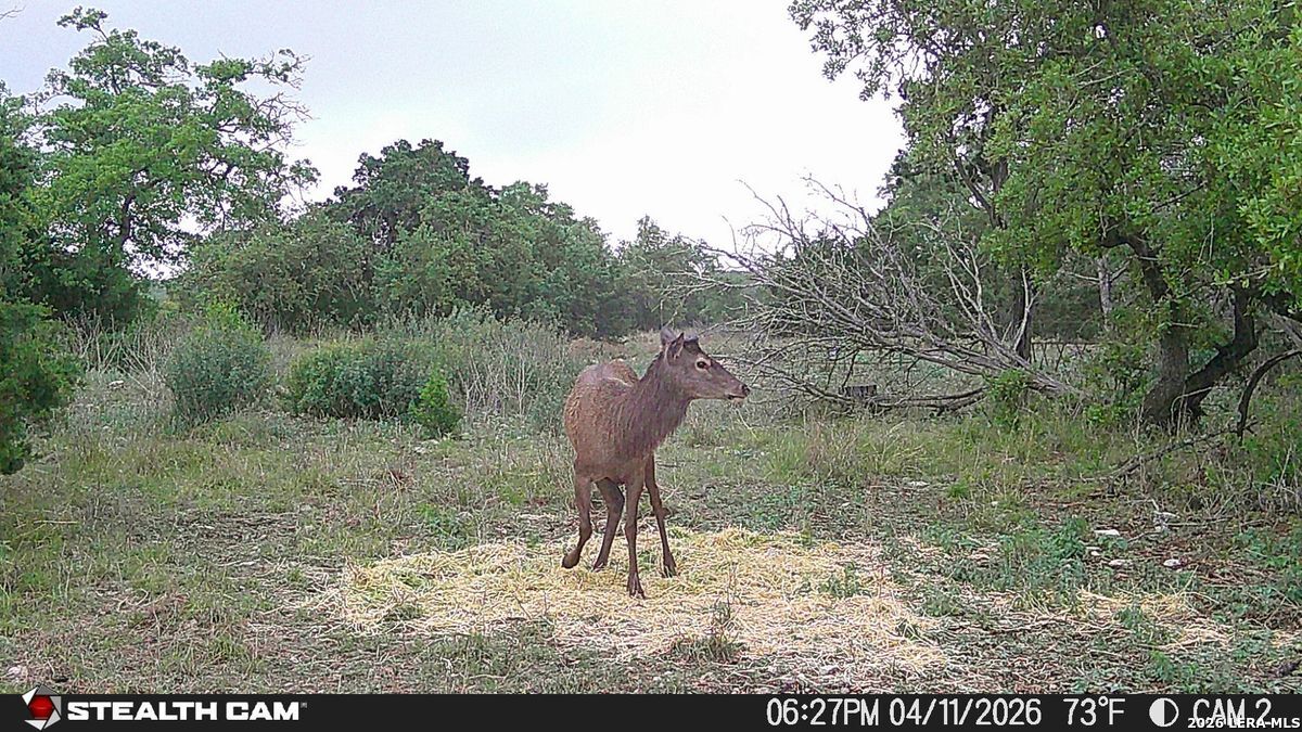 870 Rocky Top Road Southwest Hunt, TX 78024 - Photo 5 of 28 a view of a lake view