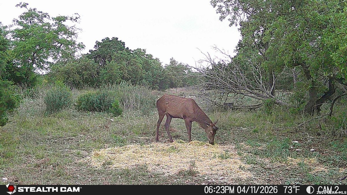 870 Rocky Top Road Southwest Hunt, TX 78024 - Photo 6 of 28 a view of a wooden floor and a lake view
