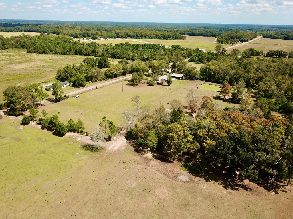 5.8-acres Nobles Road Cottonwood, AL 36320 - Photo 6 of 29
