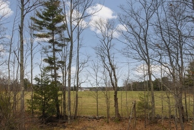 105 Will Smith Road Barnstead, NH 03218 - Photo 6 of 27