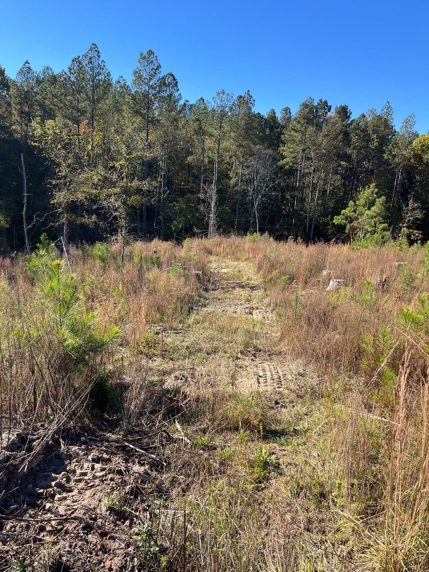 3 Dawkins Road, Unit DRF 3 Pacolet, SC 29372 - Photo 11 of 36 27-Oct 20 2025 07_47pm-4wvS