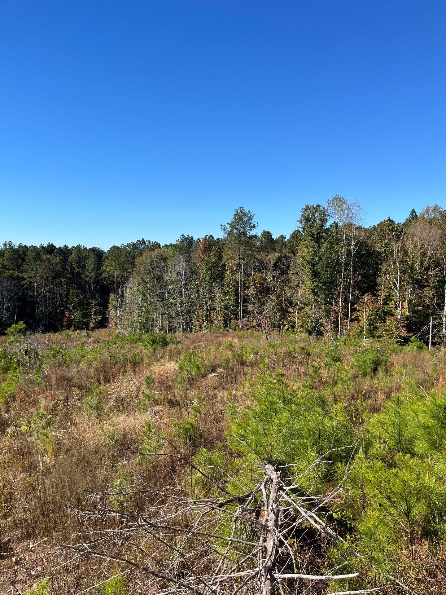 3 Dawkins Road, Unit DRF 3 Pacolet, SC 29372 - Photo 15 of 36 23-Oct 20 2025 07_20pm-QQ3U