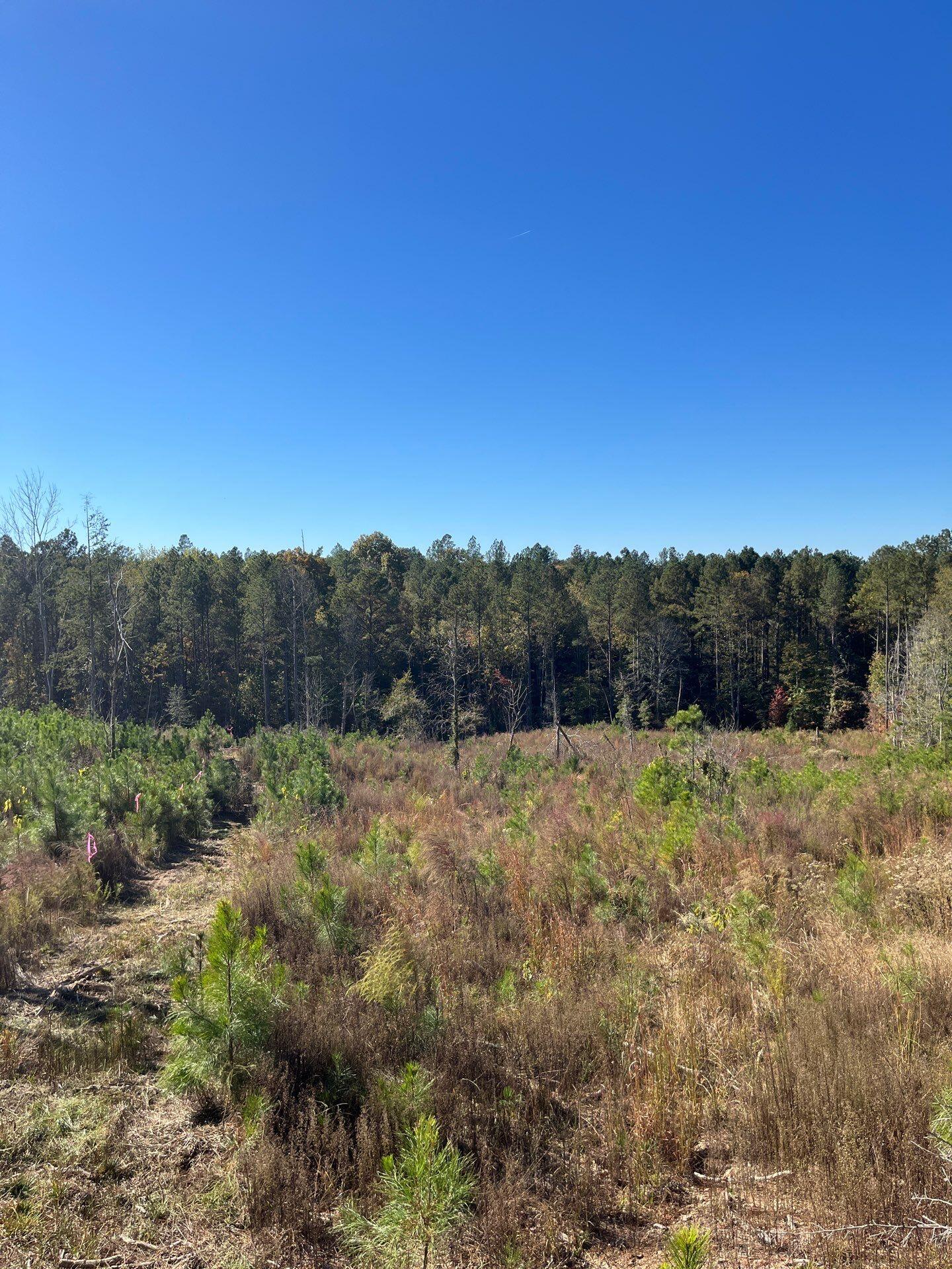 3 Dawkins Road, Unit DRF 3 Pacolet, SC 29372 - Photo 16 of 36 22-Oct 20 2025 07_20pm-5WNa