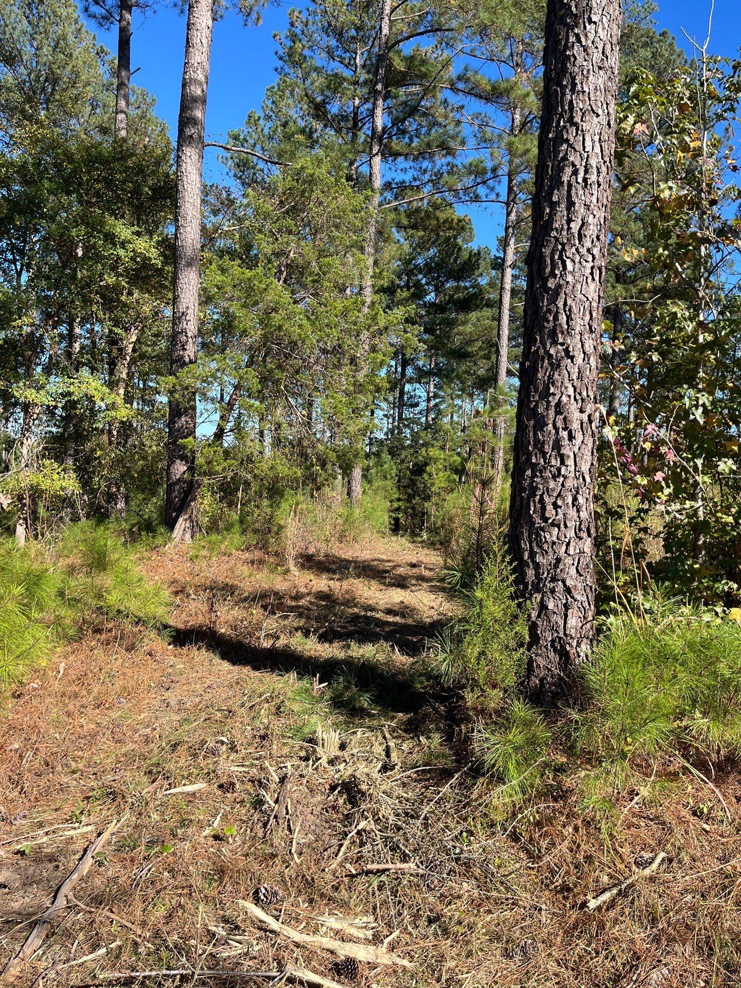 3 Dawkins Road, Unit DRF 3 Pacolet, SC 29372 - Photo 21 of 36 17-Oct 20 2025 07_20pm-GXps