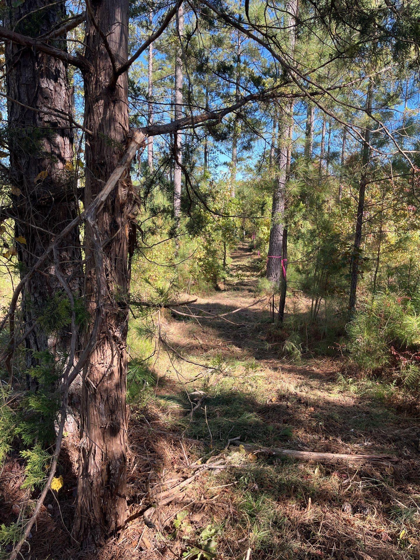 3 Dawkins Road, Unit DRF 3 Pacolet, SC 29372 - Photo 24 of 36 13-Oct 20 2025 06_55pm-TBMX