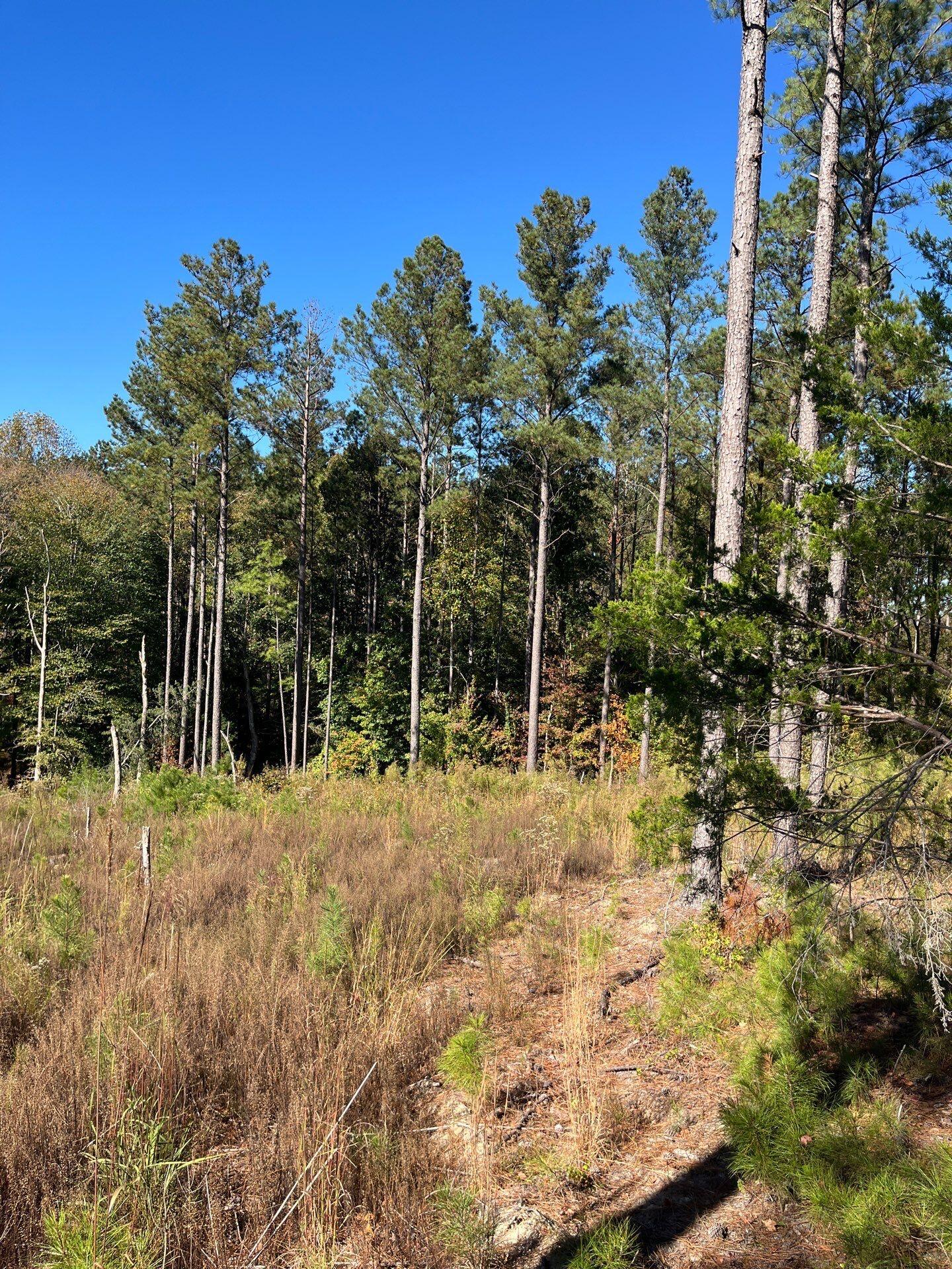 3 Dawkins Road, Unit DRF 3 Pacolet, SC 29372 - Photo 27 of 36 10-Oct 20 2025 06_53pm-8NnU