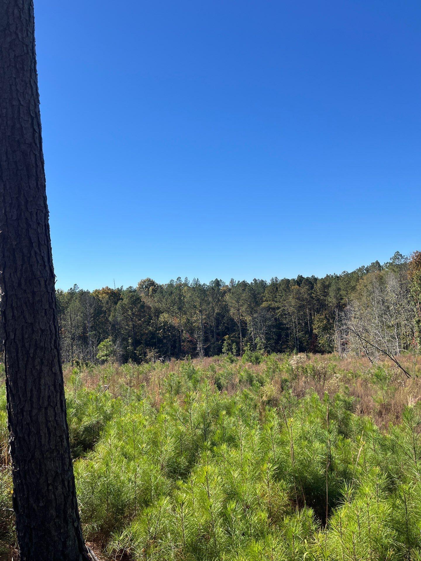 3 Dawkins Road, Unit DRF 3 Pacolet, SC 29372 - Photo 28 of 36 9-Oct 20 2025 06_53pm-Y3Xg