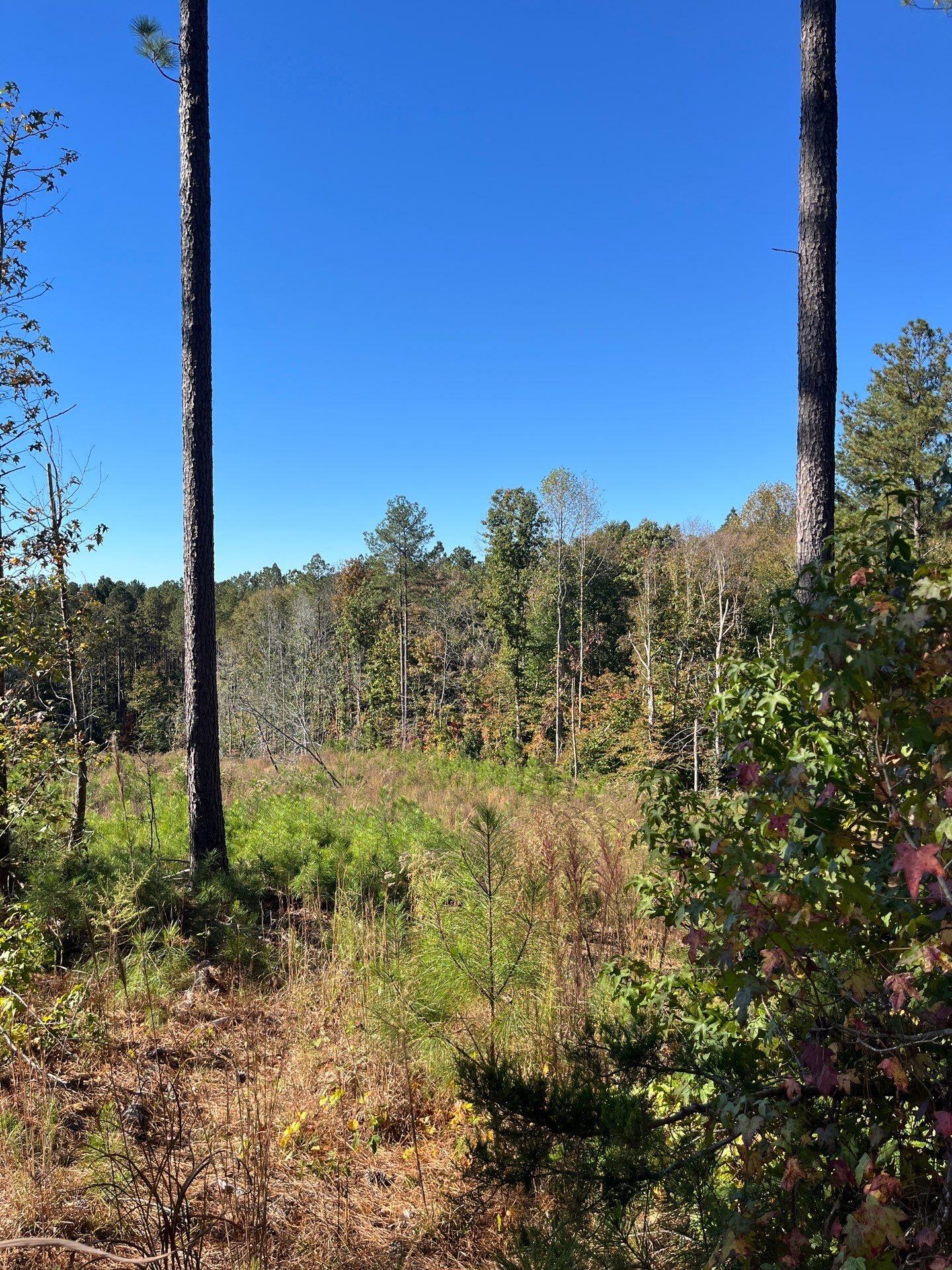 3 Dawkins Road, Unit DRF 3 Pacolet, SC 29372 - Photo 30 of 36 7-Oct 20 2025 06_53pm-E6m3