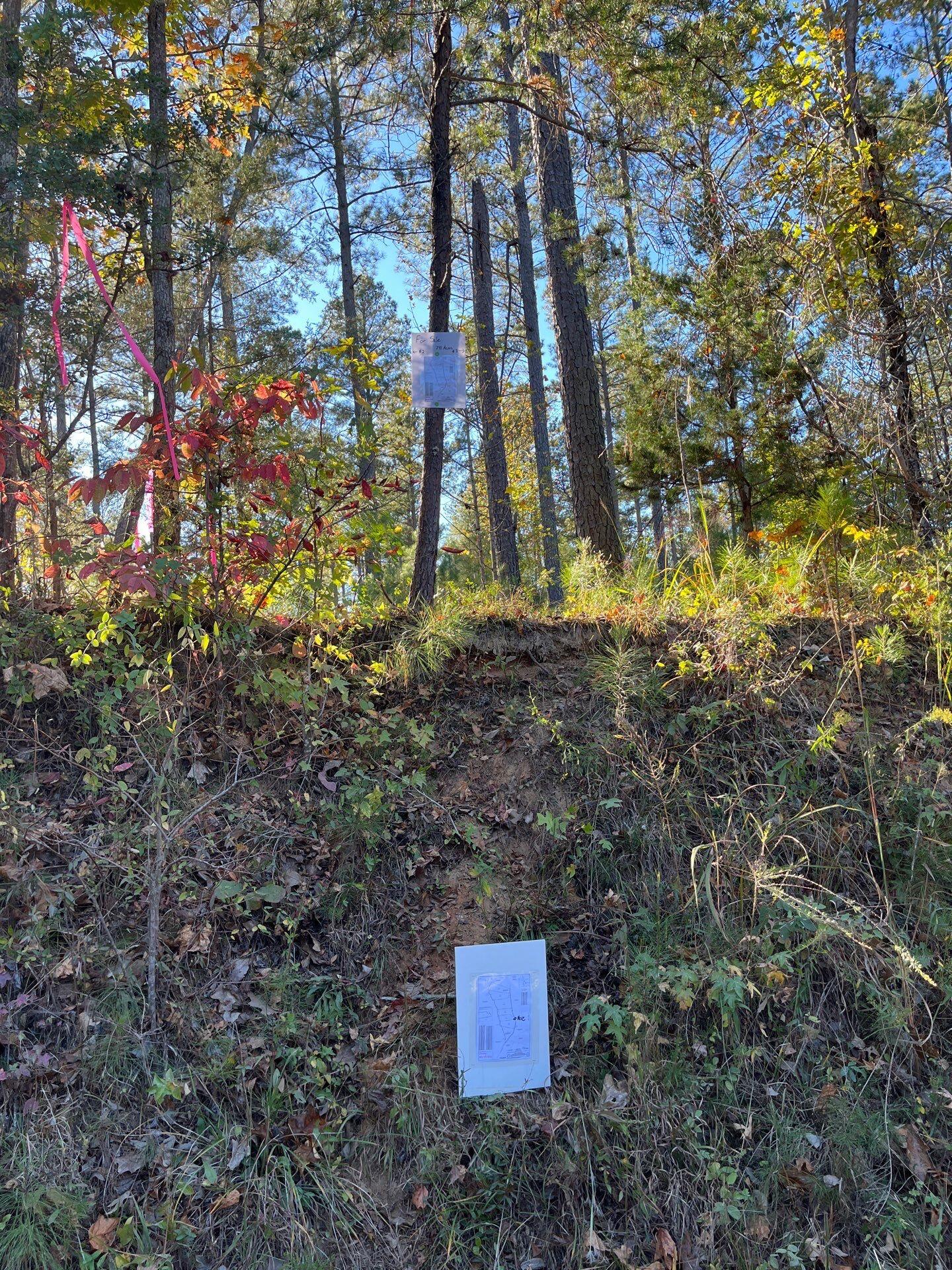 3 Dawkins Road, Unit DRF 3 Pacolet, SC 29372 - Photo 3 of 36 37-Oct 20 2025 08_21pm-Qwac