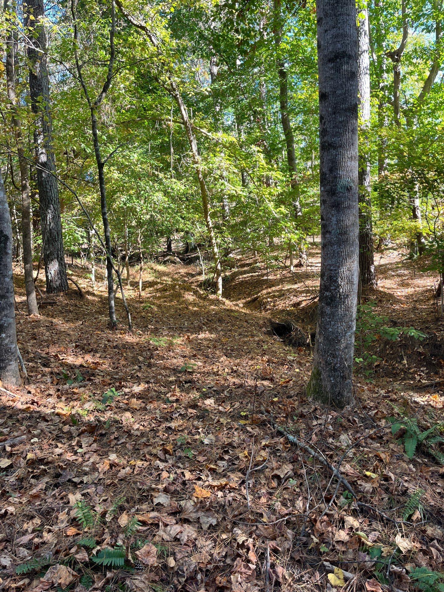 3 Dawkins Road, Unit DRF 3 Pacolet, SC 29372 - Photo 4 of 36 36-Oct 20 2025 08_02pm-ap78