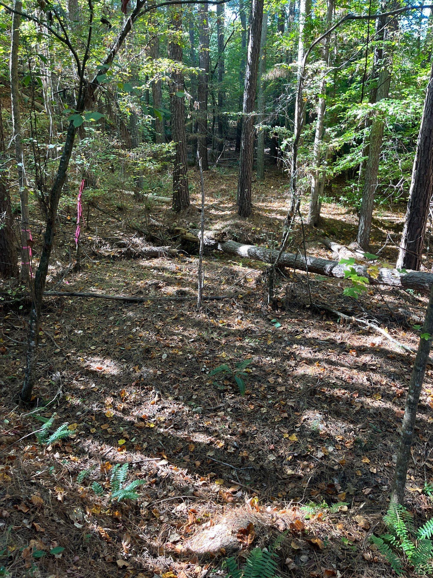 3 Dawkins Road, Unit DRF 3 Pacolet, SC 29372 - Photo 6 of 36 33-Oct 20 2025 07_53pm-Lyjq