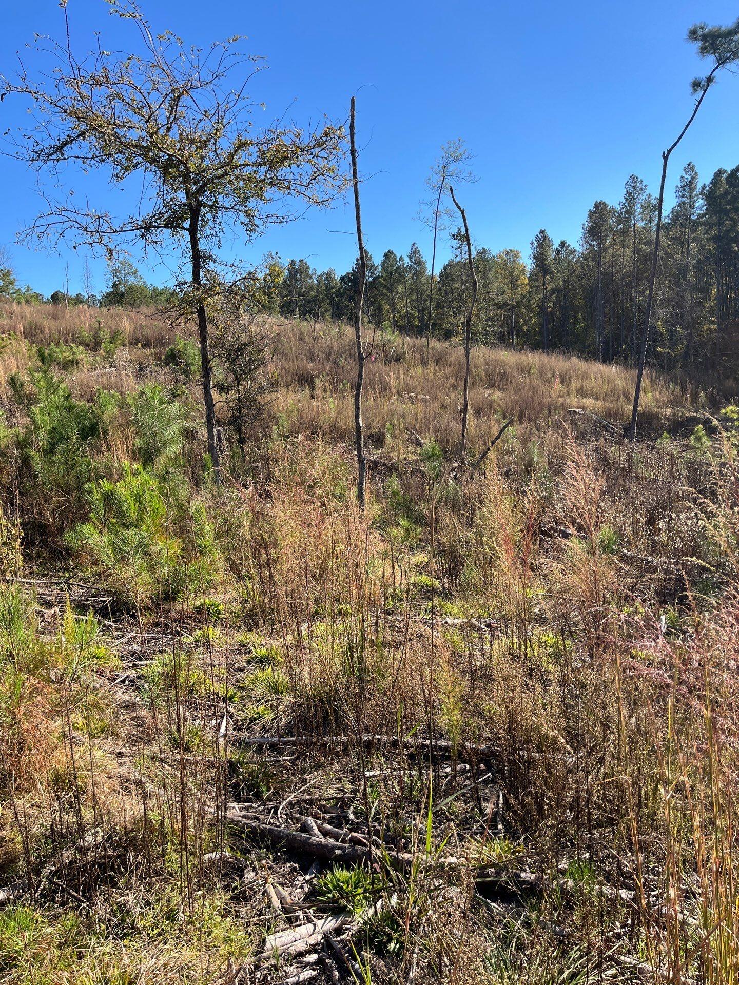 3 Dawkins Road, Unit DRF 3 Pacolet, SC 29372 - Photo 9 of 36 29-Oct 20 2025 07_47pm-9oY4