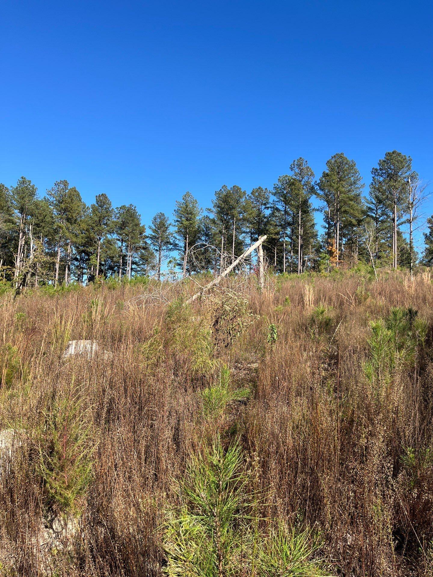 3 Dawkins Road, Unit DRF 3 Pacolet, SC 29372 - Photo 10 of 36 28-Oct 20 2025 07_47pm-mFWQ