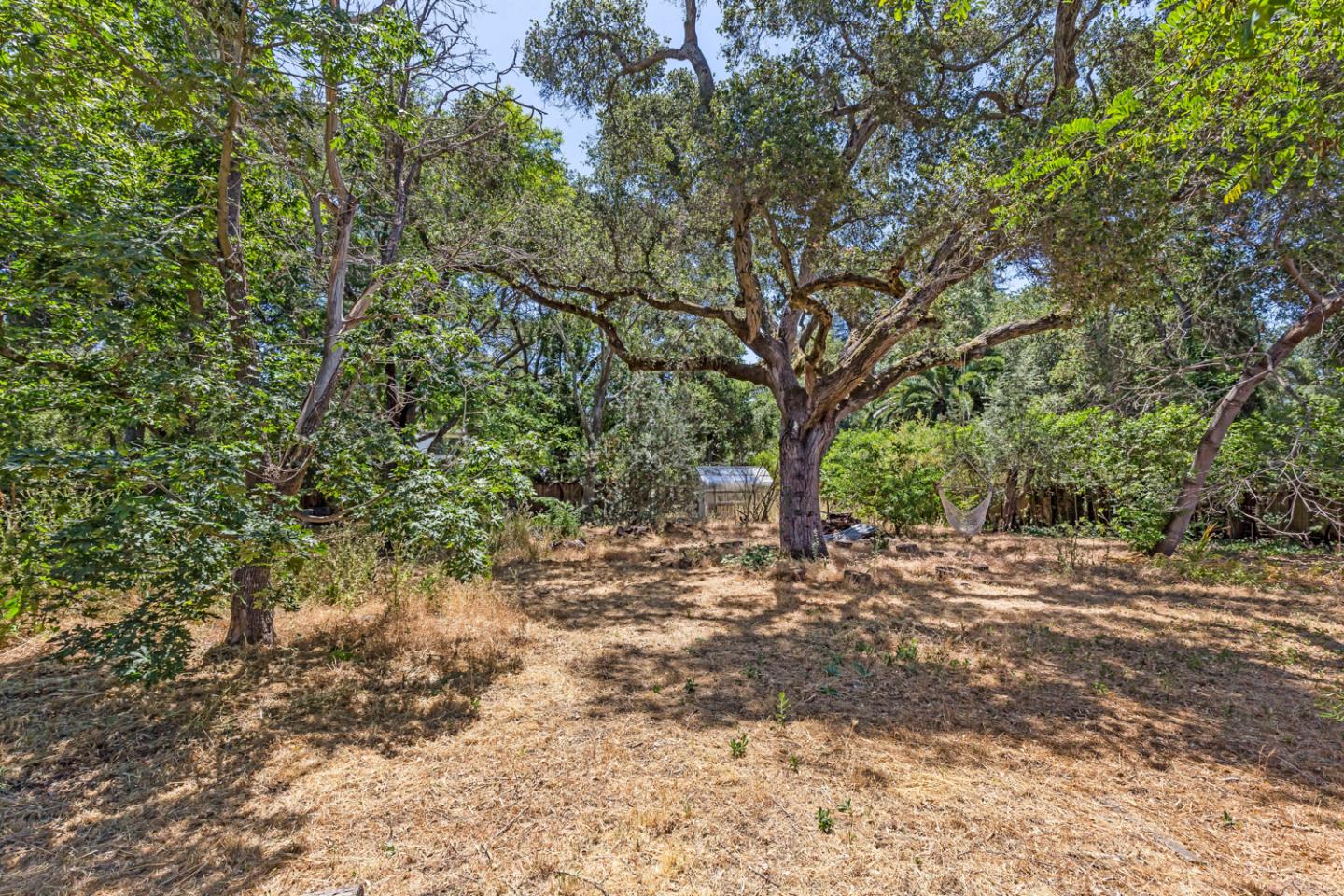 167 Almendral Avenue Atherton, CA 94027 - Photo 39 of 50 a view of a tree in the middle of a yard