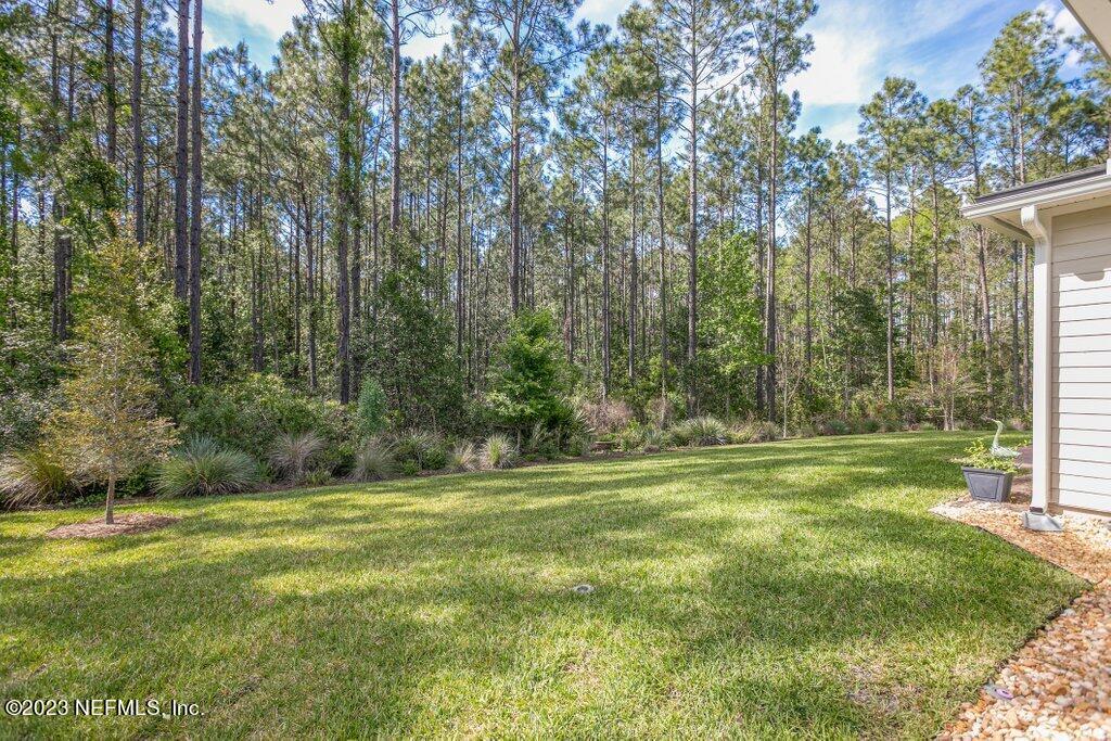 367 Shadow Cove St. Johns, FL 32259 - Photo 51 of 73 a view of a park with large trees