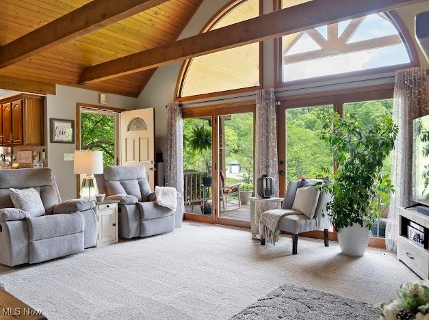 631 Short Brook Road Vincent, OH 45784 - Photo 15 of 31 Carpeted living room featuring wood ceiling