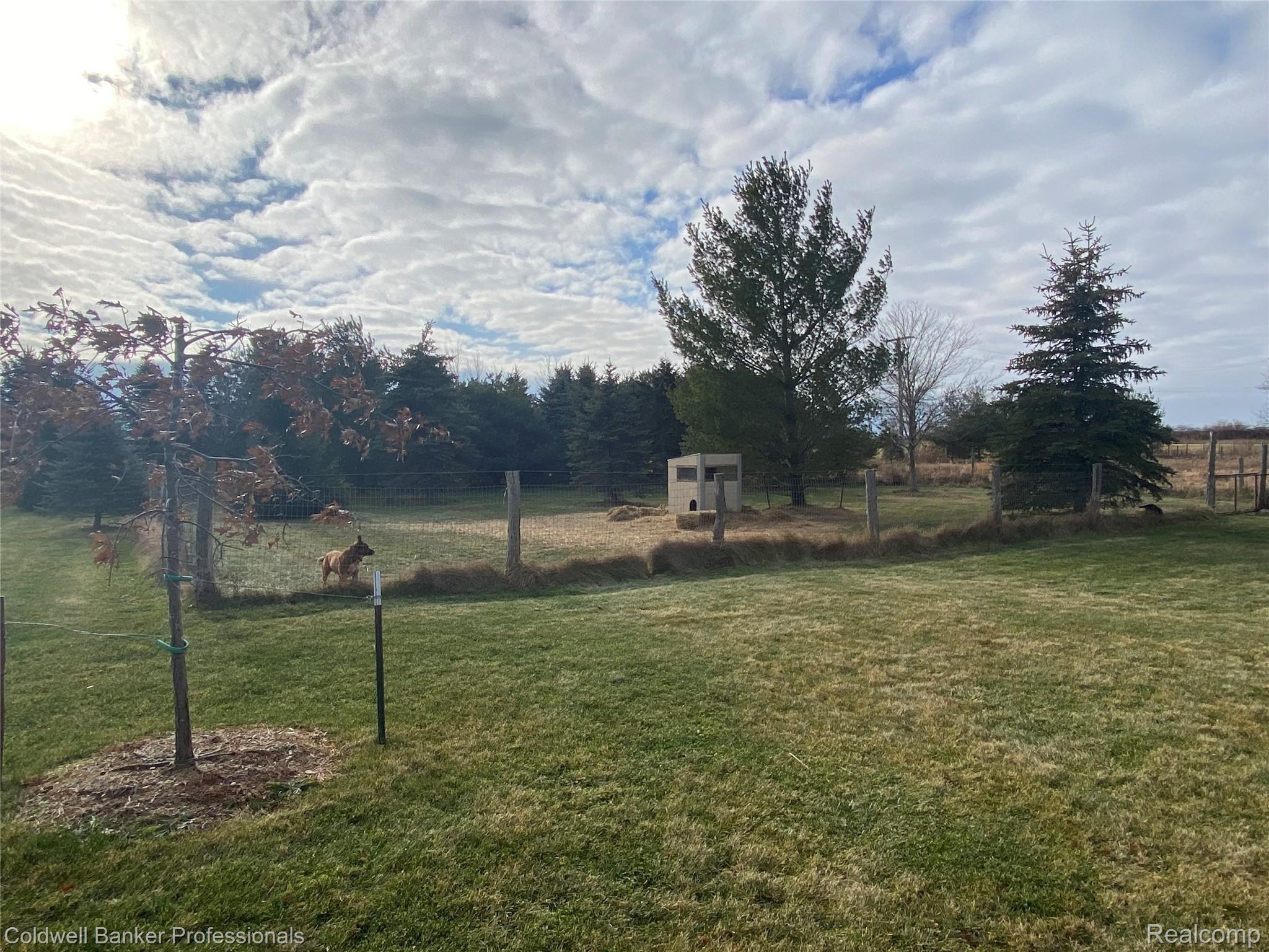 7252 Gosline Road Marlette, MI 48453 - Photo 15 of 41 6F2DD846-07AF-4A24-92AF-50E5B8EE0B32.jpeg