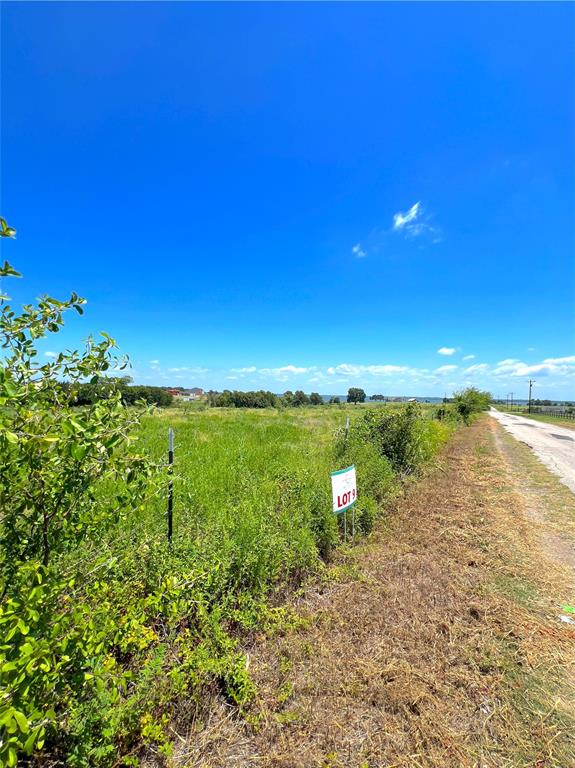 Lot 9 Southeast County Road Corsicana, TX 75109 - Photo 8 of 14 Gallery Image 8