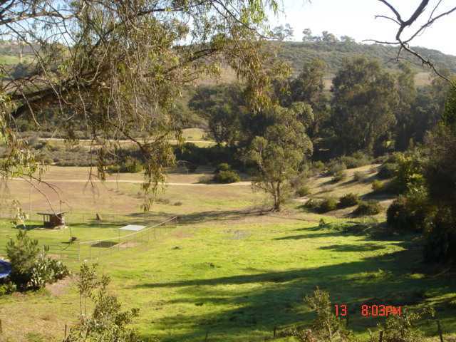 1265 Saxony Road Encinitas, CA 92024 - Photo 1 of 17