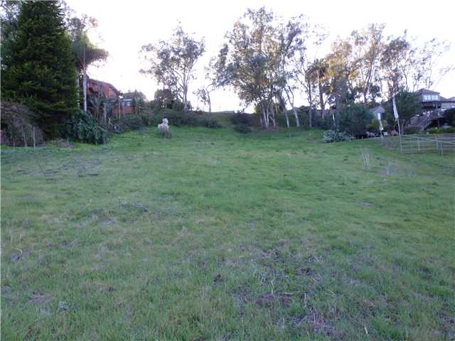 1265 Saxony Road Encinitas, CA 92024 - Photo 4 of 17