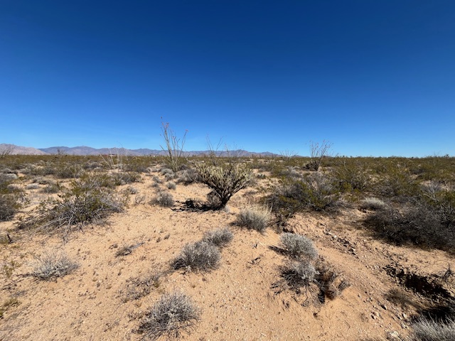 207-17-166a Cherry Road Yucca, AZ 86438 - Photo 9 of 15