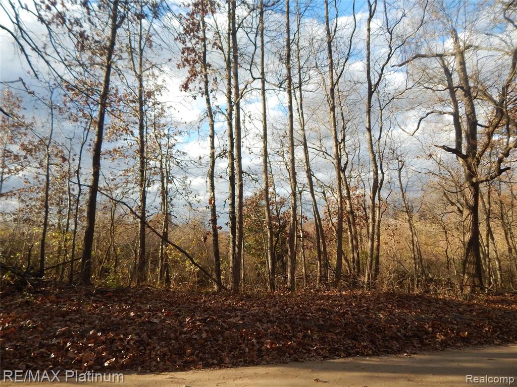 0 Bentley Lake Road Pinckney, MI 48169 - Photo 12 of 24
