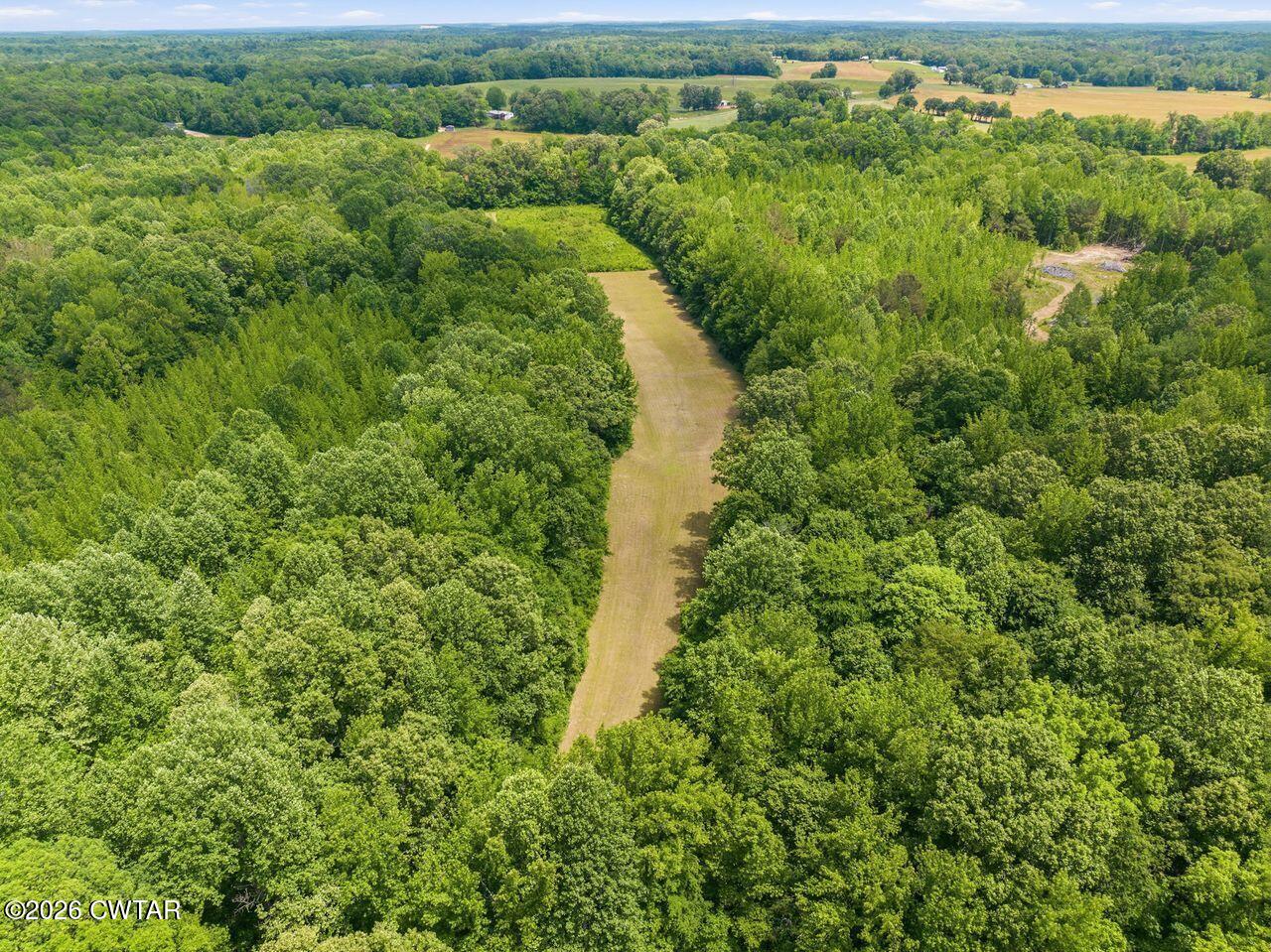 4110 Corinth Road Lexington, TN 38351 - Photo 58 of 59 an aerial view of residential houses with outdoor space and trees