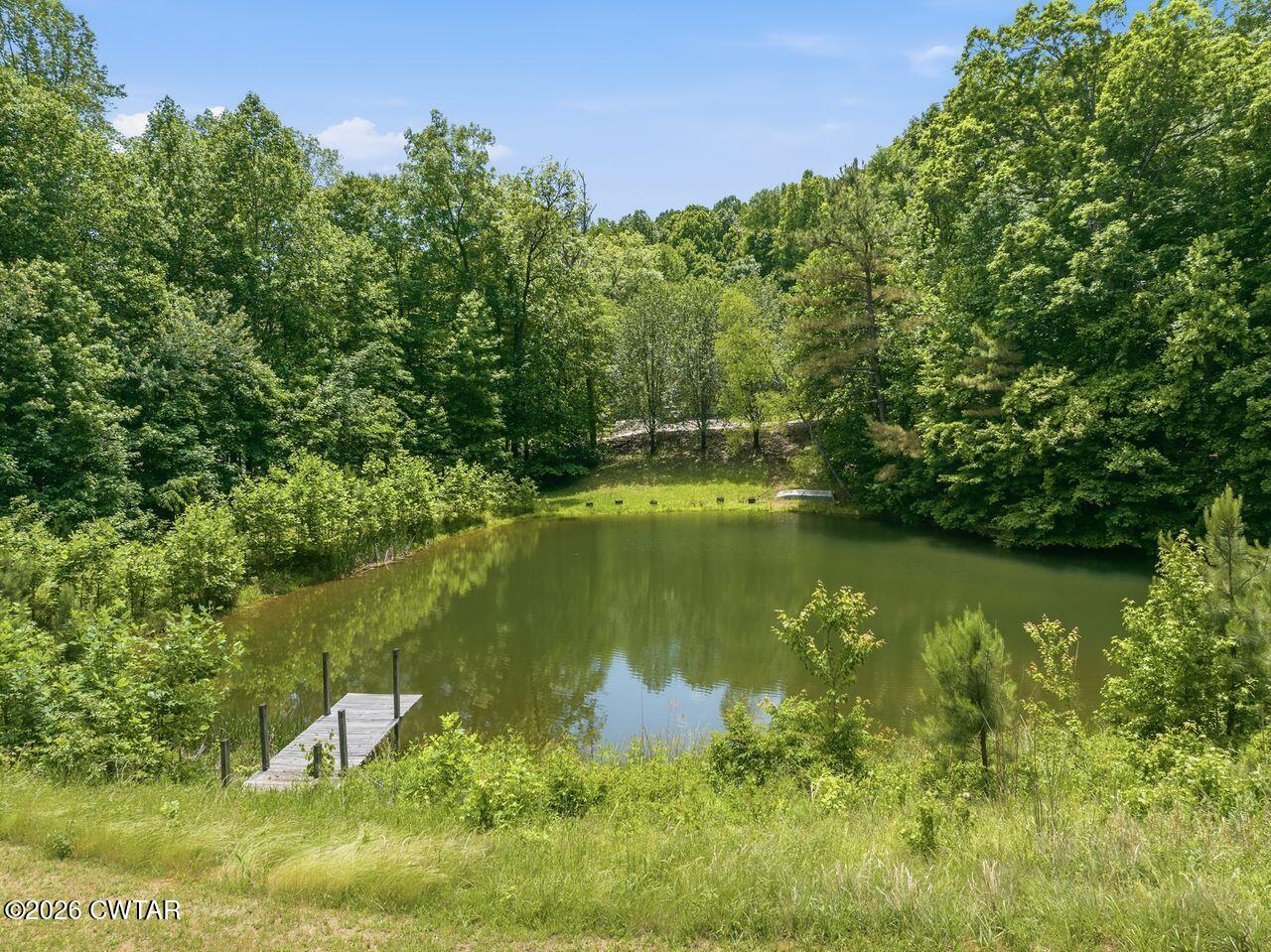 4110 Corinth Road Lexington, TN 38351 - Photo 8 of 59 Pond