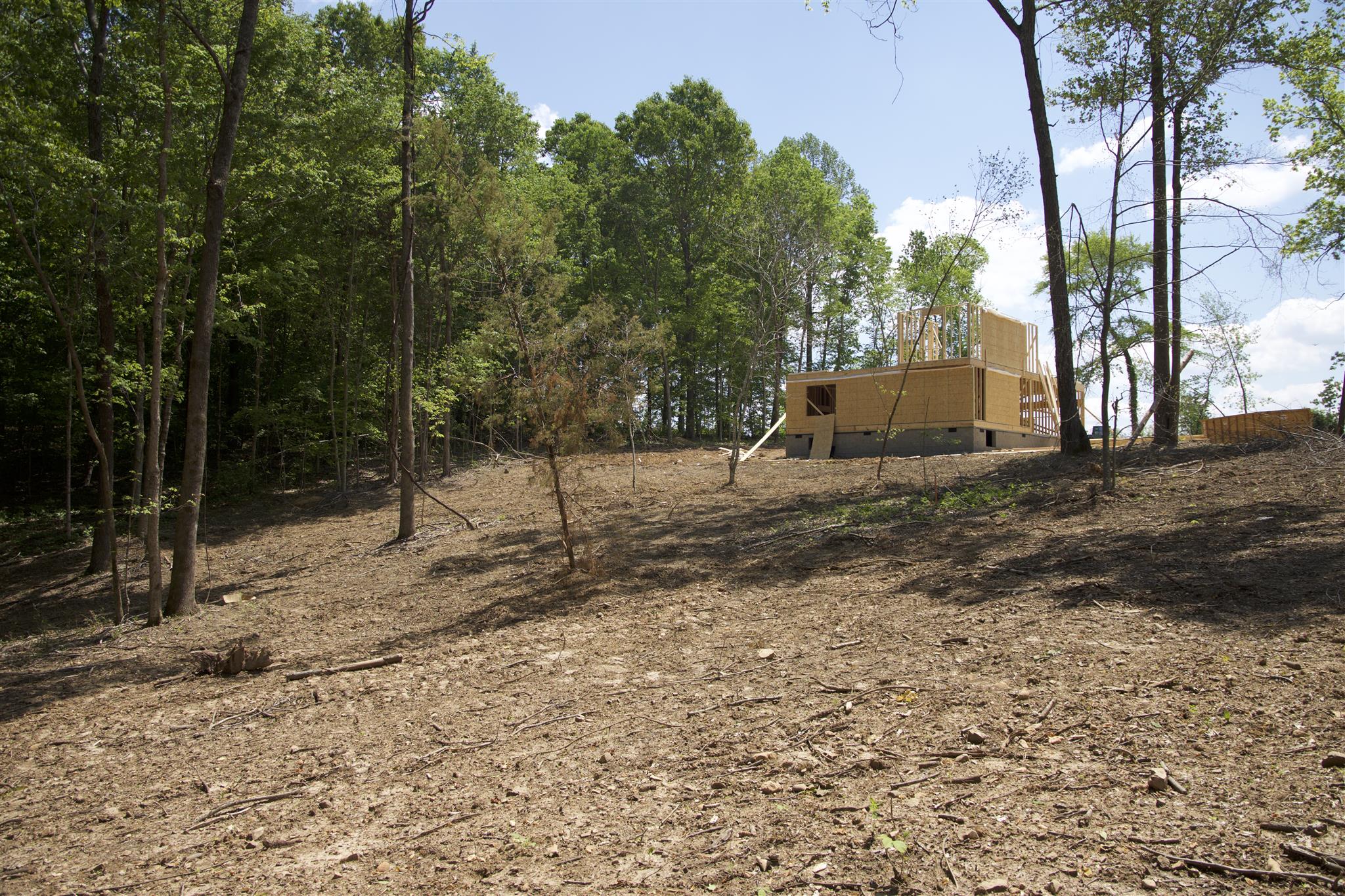 2645 Mockingbird Hill Road Palmyra, TN 37142 - Photo 3 of 27 a view of a backyard with large trees