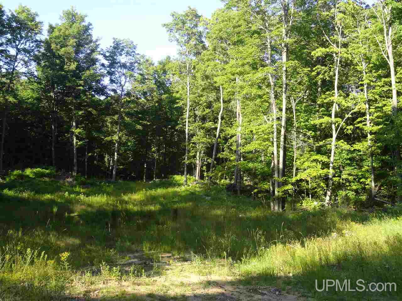 80 SOUTH Off Co Road Ishpeming, MI 49849 - Photo 8 of 20