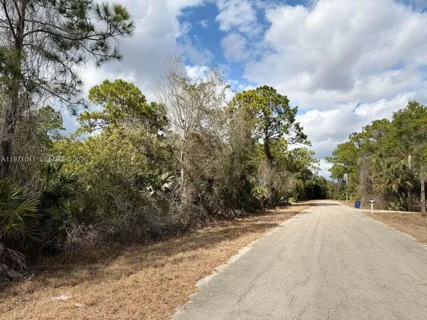 a view of road and trees