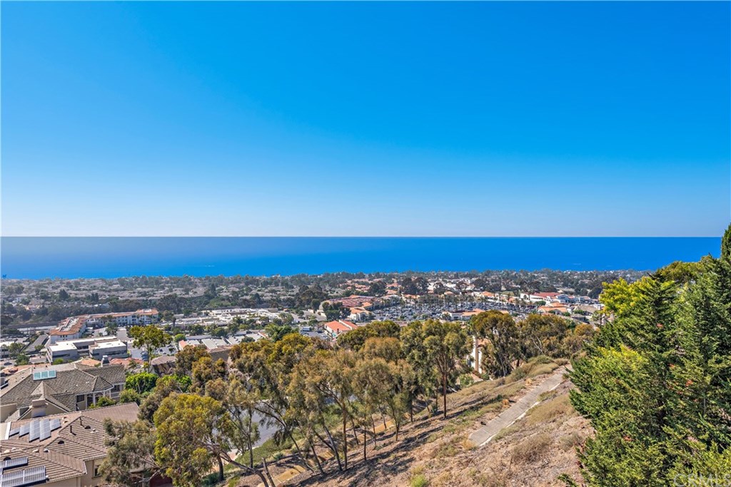 3 Via Sueno San Clemente, CA 92673 - Photo 50 of 74