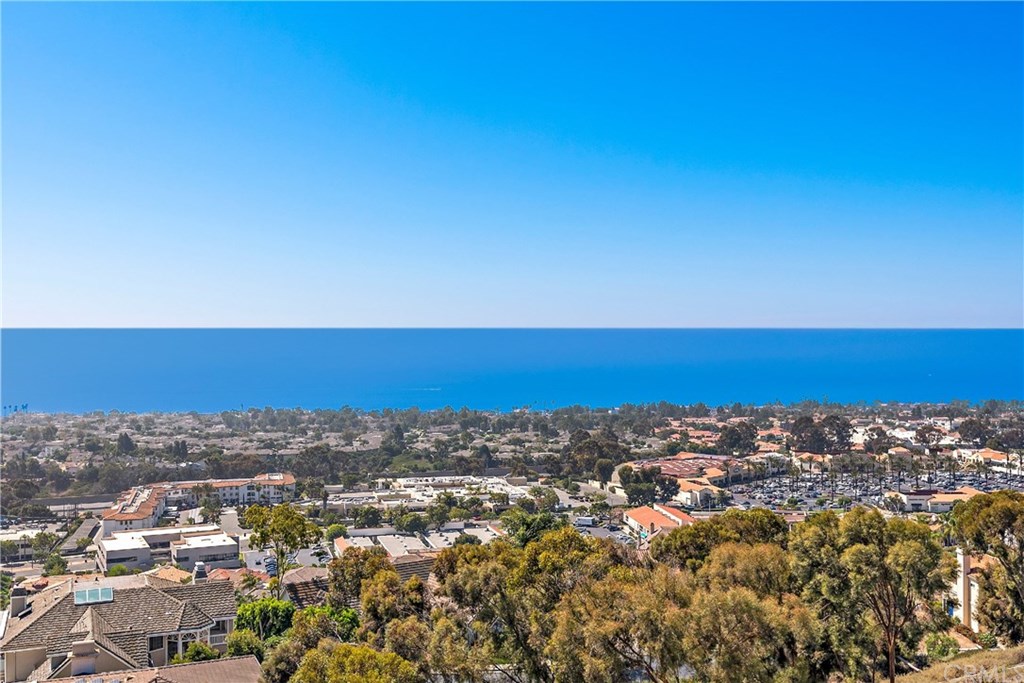 3 Via Sueno San Clemente, CA 92673 - Photo 51 of 74