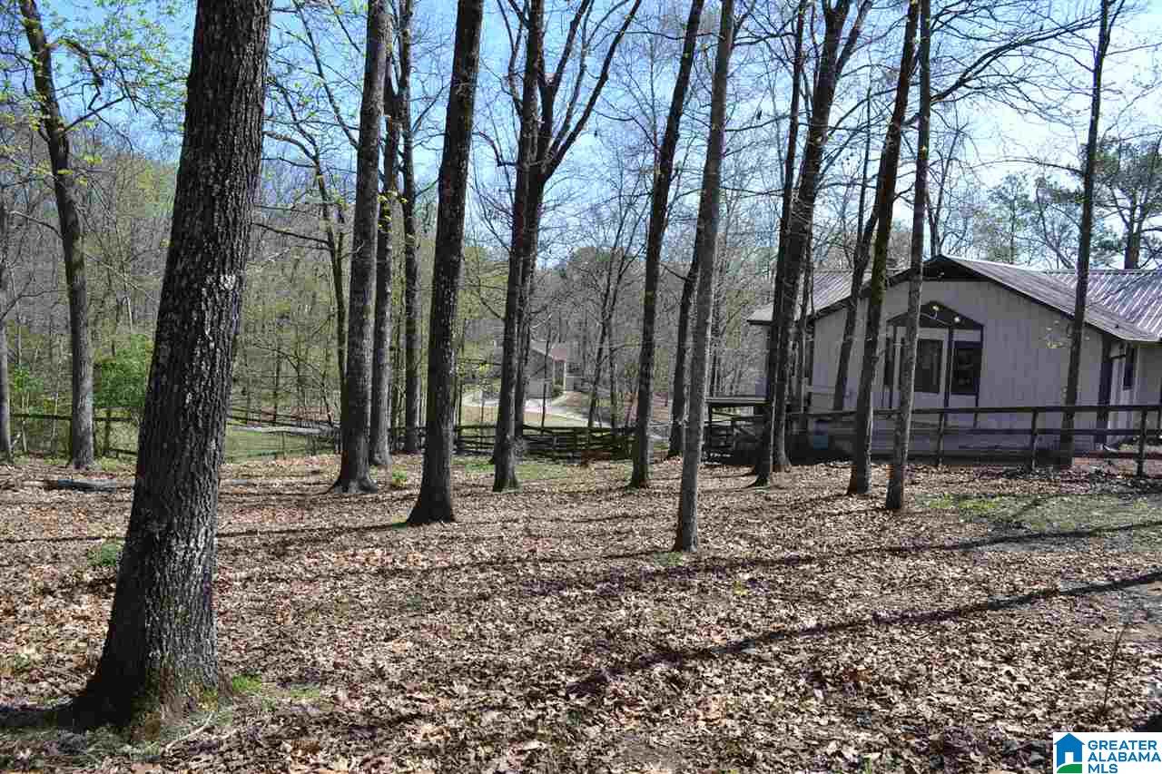 113 Willow Ridge Drive Pelham, AL 35124 - Photo 34 of 45