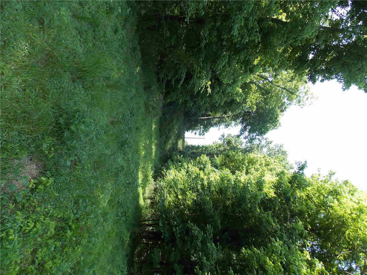 4850 Smith Station Road Edwards, MS 39066 - Photo 18 of 49 Photo 18