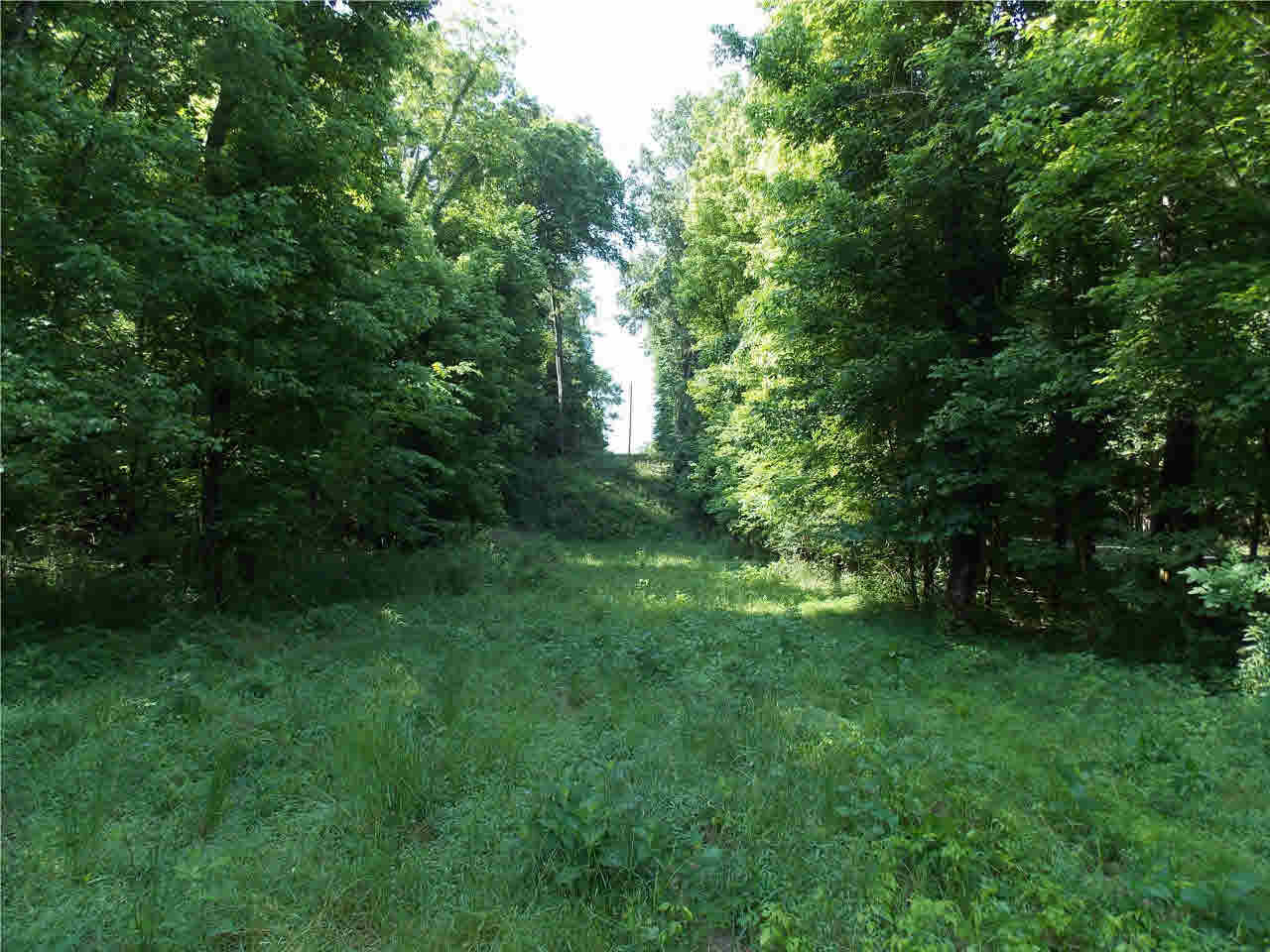 4850 Smith Station Road Edwards, MS 39066 - Photo 19 of 49 Photo 19