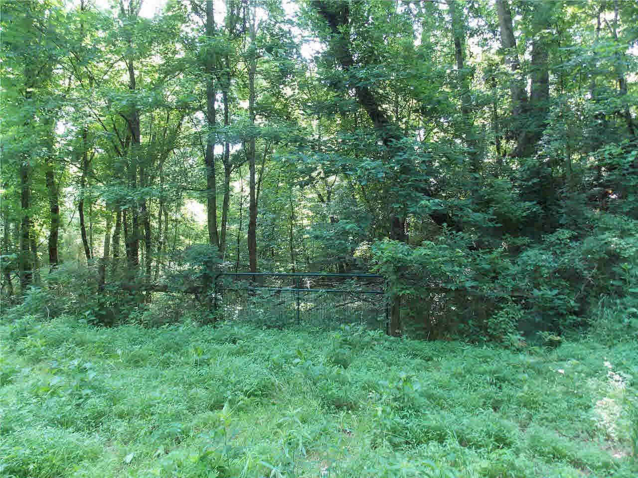 4850 Smith Station Road Edwards, MS 39066 - Photo 20 of 49 Photo 20