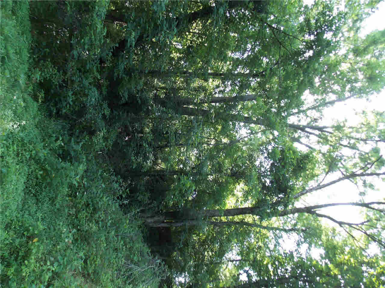 4850 Smith Station Road Edwards, MS 39066 - Photo 21 of 49 Photo 21
