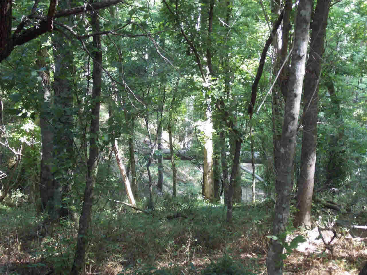 4850 Smith Station Road Edwards, MS 39066 - Photo 24 of 49 Photo 24