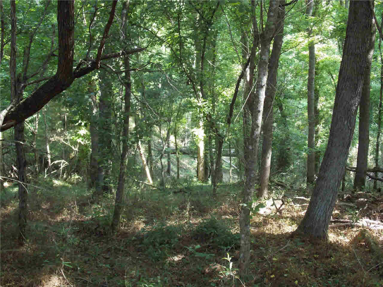 4850 Smith Station Road Edwards, MS 39066 - Photo 25 of 49 Photo 25