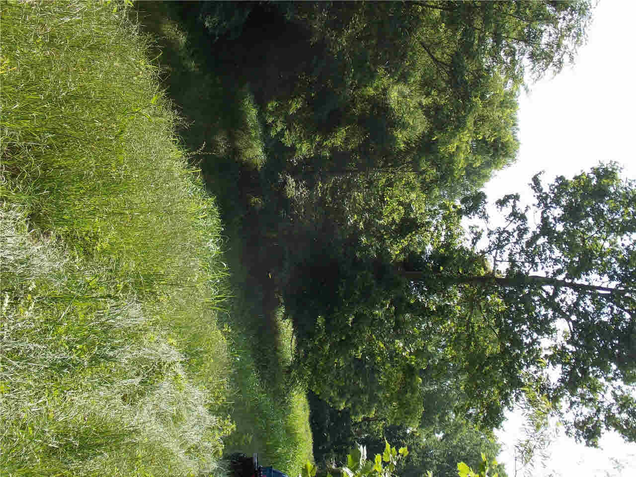 4850 Smith Station Road Edwards, MS 39066 - Photo 26 of 49 Photo 26