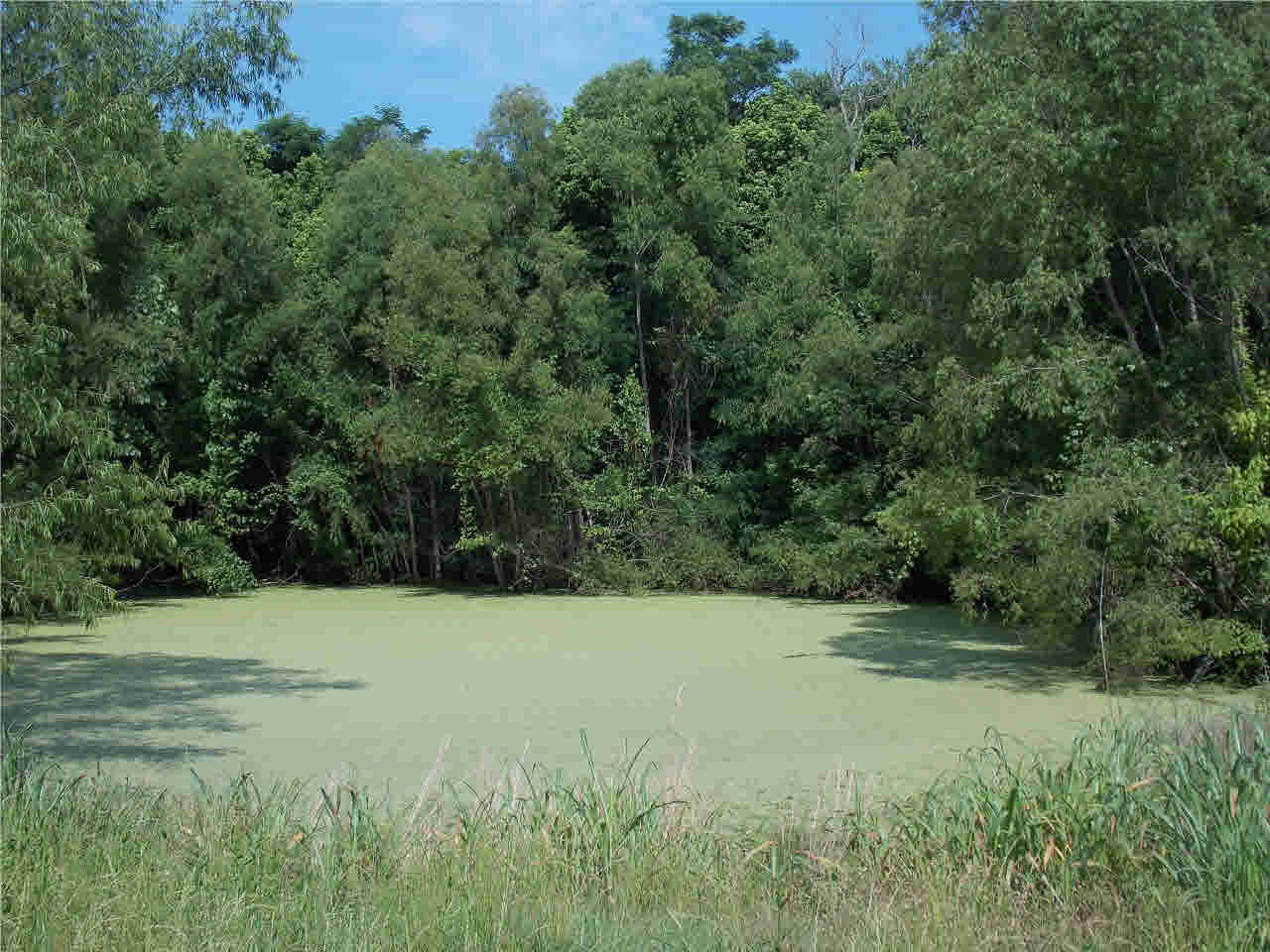 4850 Smith Station Road Edwards, MS 39066 - Photo 27 of 49 Photo 27