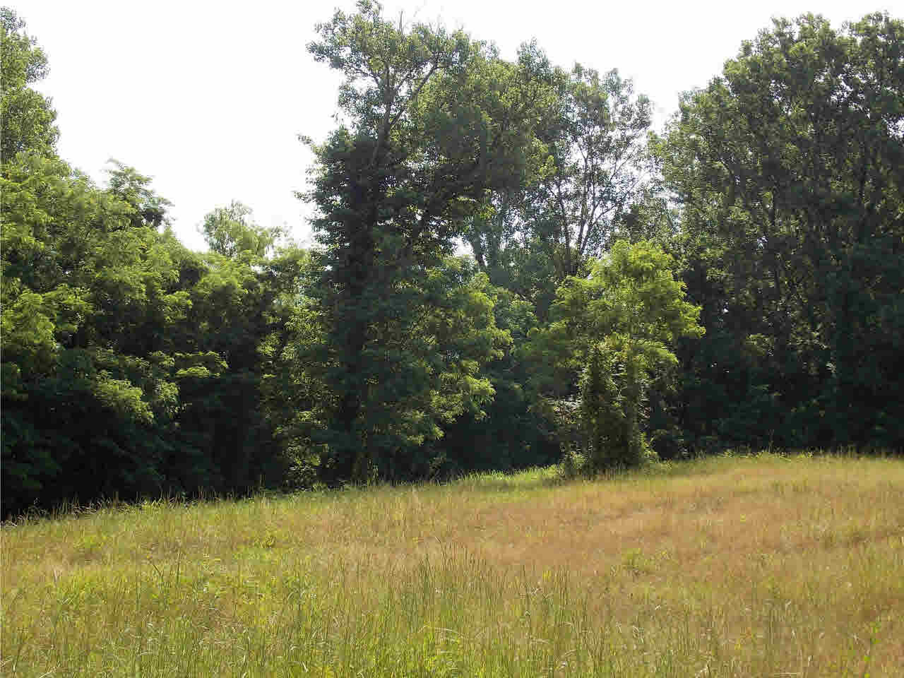 4850 Smith Station Road Edwards, MS 39066 - Photo 28 of 49 Photo 28