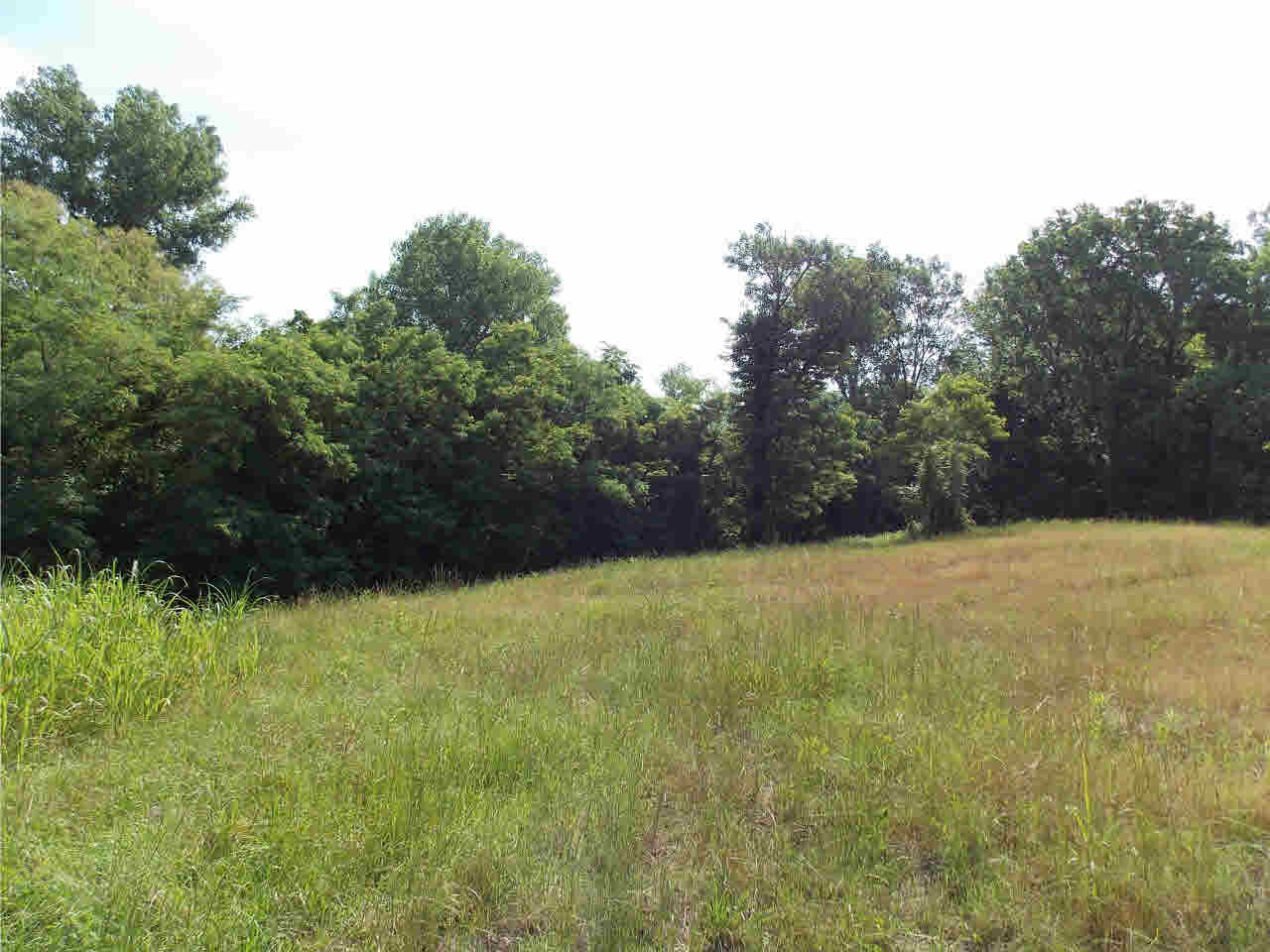 4850 Smith Station Road Edwards, MS 39066 - Photo 29 of 49 Photo 29