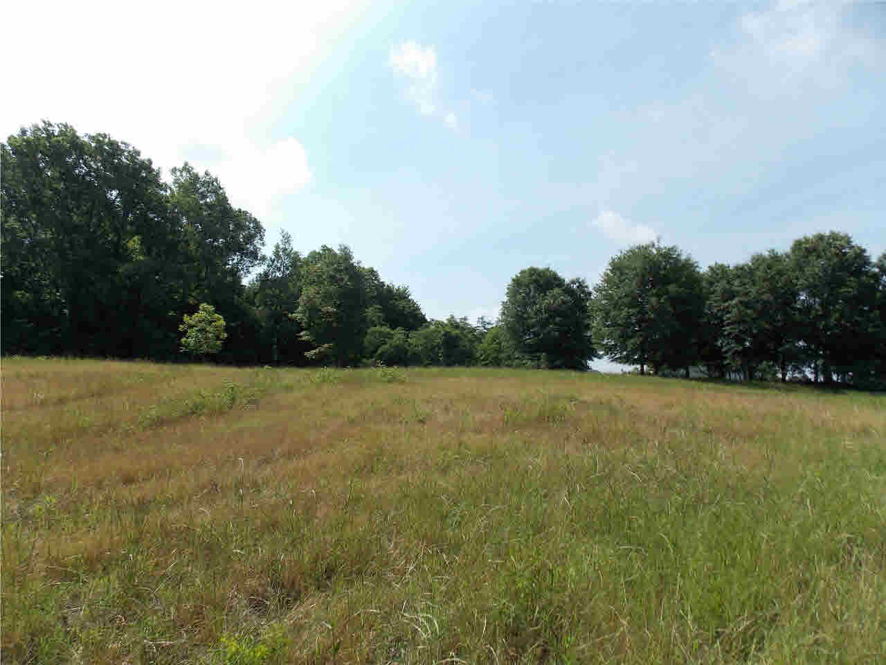 4850 Smith Station Road Edwards, MS 39066 - Photo 30 of 49 Photo 30