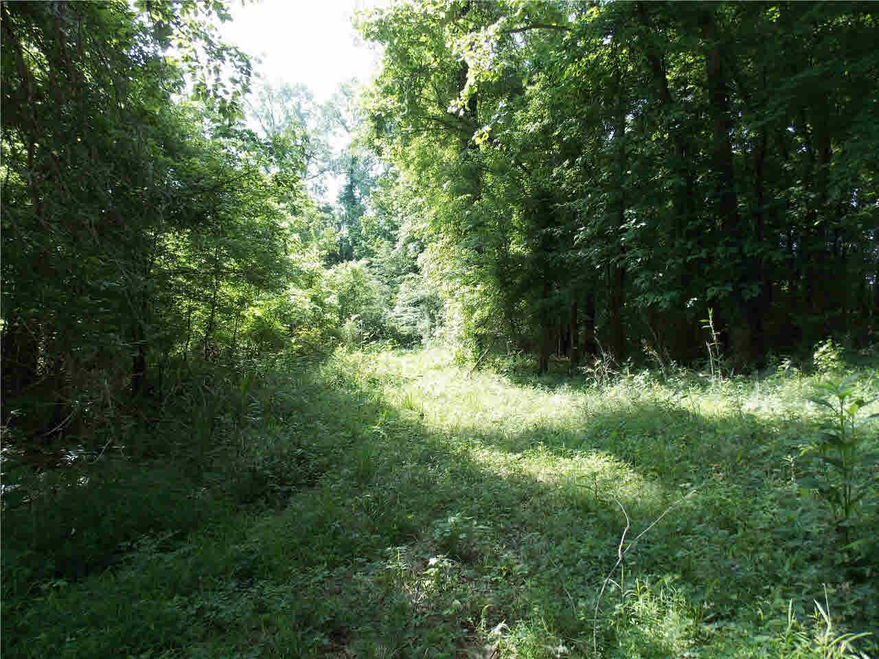 4850 Smith Station Road Edwards, MS 39066 - Photo 33 of 49 Photo 33